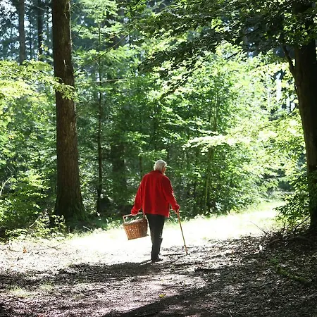 Dancamps 3* Hampen
