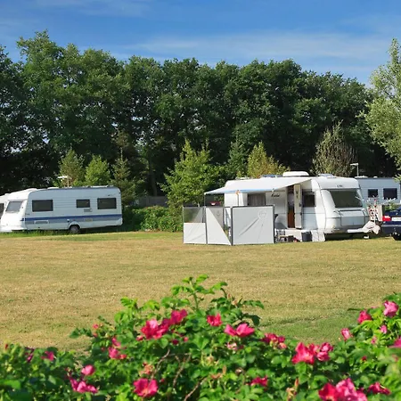 Campsite Dancamps