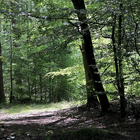 Campsite Dancamps Hampen