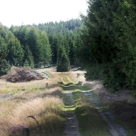 Dancamps Campsite